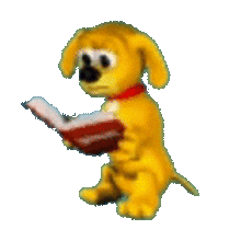 reader